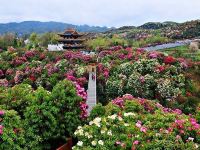 百里杜鹃花漾四季酒店 - 酒店附近