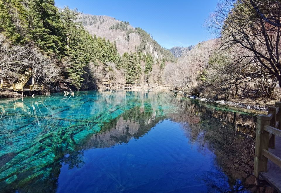 홀리데이 인 익스프레스 주자이거우, IHG 호텔