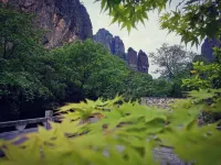 Yinxi Meisu Guesthouse