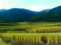 连山欧家梯田13号农家乐 - 酒店附近
