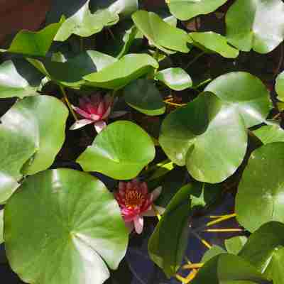 天一色度假山墅度假別墅（澗省線分店） Others