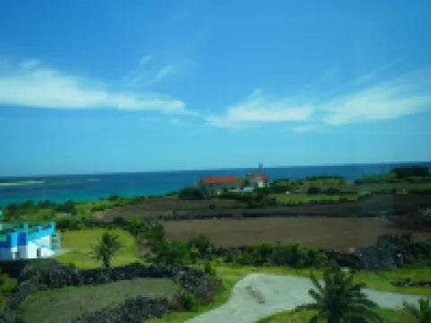 Amor House Hotels near Udo