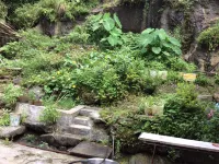 Hengyang County Nanyue Farm Stay Wangwang Hotel