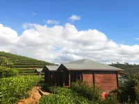 Yinsheng Tea Manor