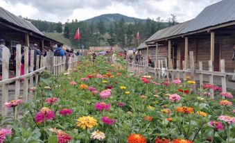 Burqin Kanas Butterfly Villa