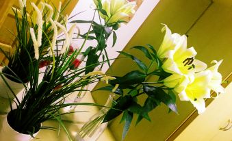 Guangzhou Constellation Hotel Apartment Sports West Branch