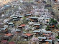 北京水岸山吧度假村 - 酒店景观