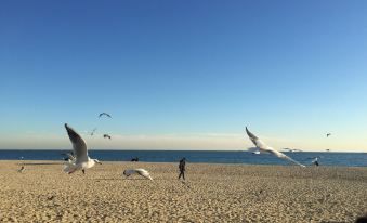 Best Western Haeundae Hotel