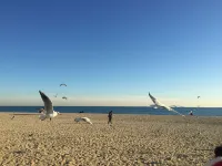 Best Western Haeundae Hotel