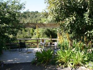 Wairua Lodge - Rainforest River Retreat