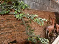 사파 파노라마 호텔