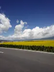 Mubaike Business Hotel Hotels in Menyuan
