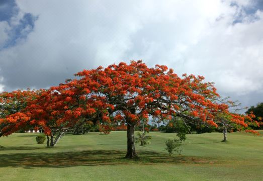 사이판 베가스 리조트