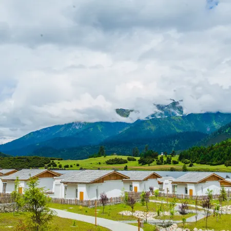 Artel Linzhi Poly