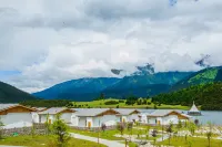 Artel Linzhi Poly