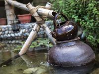 武夷山大安源生态农庄 - 其他