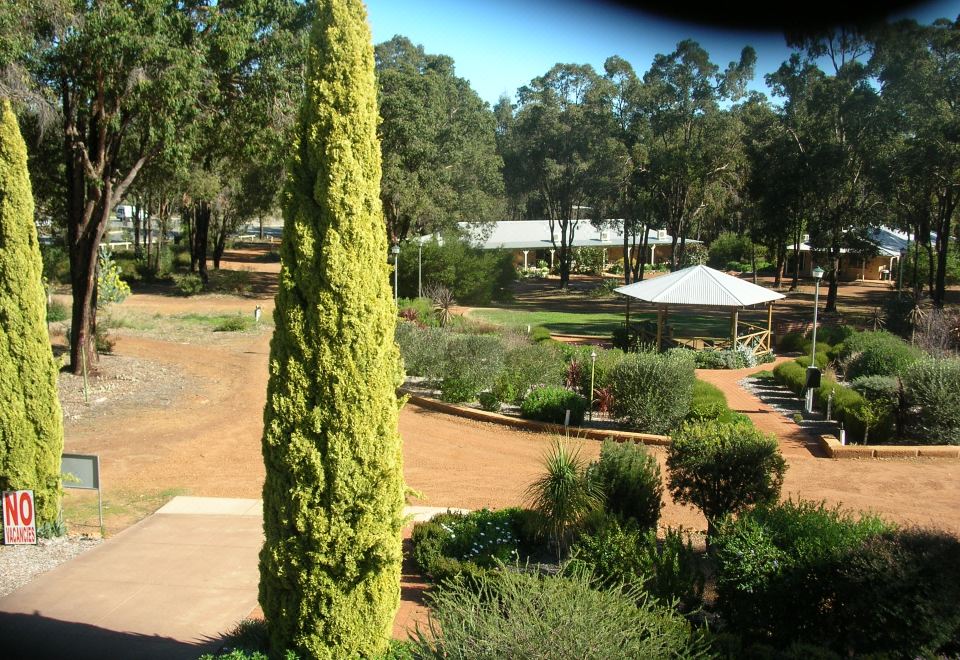 a lush green garden with various plants and trees , as well as a building in the background at Travellers Rest Motel