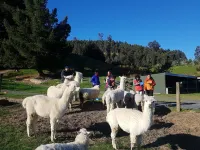 Hunters Moon Hotels in Mosgiel