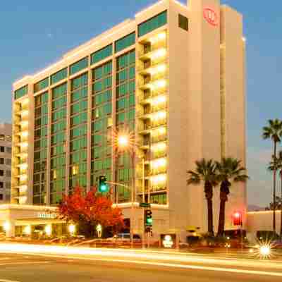 ヒルトン・パサデナ Hotel Exterior