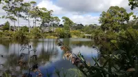 Lush & Co Auckland Bed & Breakfast Các khách sạn gần Muriwai Beach