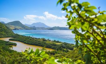 a picturesque view of a beautiful tropical beach with clear blue water and lush greenery surrounding it at Park Hyatt St Kitts Christophe Harbour