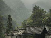 浦江不舍野马岭中国村 - 酒店外部