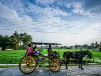 D'Omah Yogya Hotel Hotels in Sewon