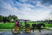 D'Omah Yogya Hotel Hotels in Sewon