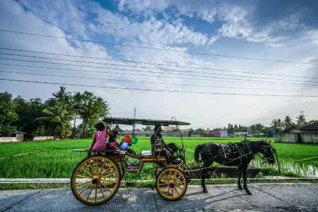 D'Omah Yogya Hotel Отели в г. Sewon