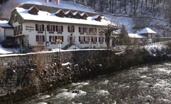 Historic Hotel Steinbock