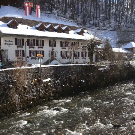 Historic Hotel Steinbock
