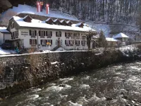 Historic Hotel Steinbock Hotels in Вильдерсвиль