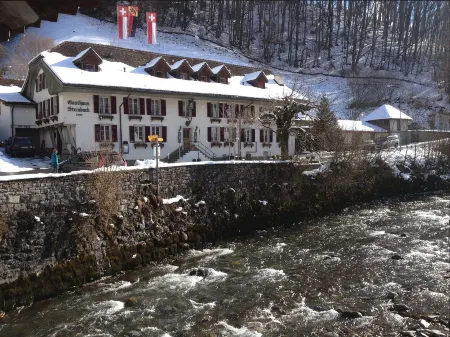 Historic Hotel Steinbock