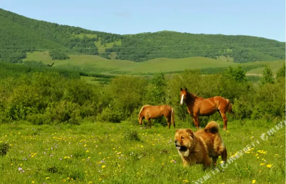 壩上君蘭園水岸雲天山莊