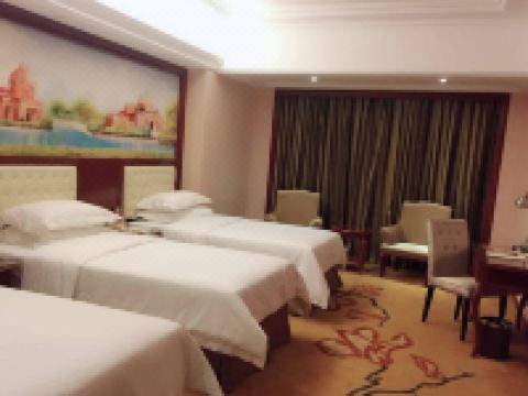 维也纳国际酒店(百色田阳店) - 豪华三人房