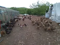 Mohe Changjia Dayuan Hotel