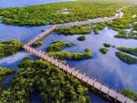 迦南美地海景公寓(北海红树林店) - 酒店景观