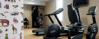 Kopster Hotel Lyon Groupama Stadium - gimnasio