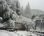 Floral Hotel·Moganshan Shuimo Shanju hotel