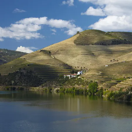 The Vintage House - Douro
