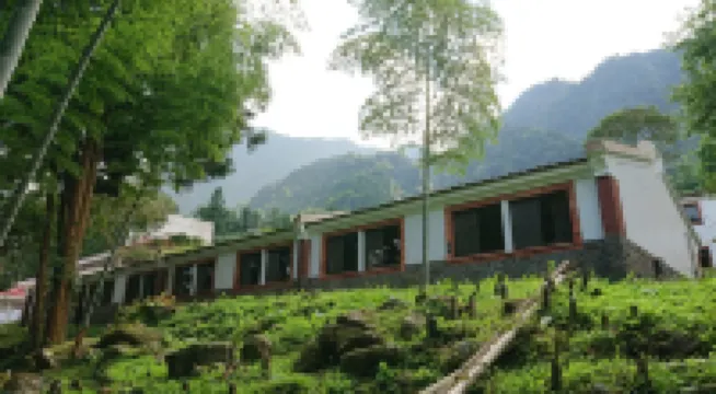 溪頭福華渡假飯店 南投住宿飯店