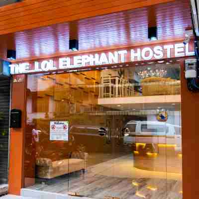 The Lol Elephant Hostel Hotel Exterior