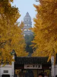 青洄書茶棧