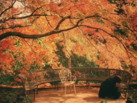 Wangshan Villa Hotels near Du Yuesheng Mansion