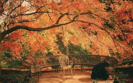 Wangshan Villa Отели рядом с достопримечательностью «Baiyun Mountain Pavilion»