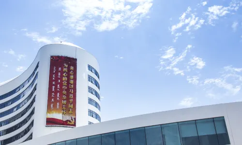 Xingtai Blue Horizon Grand Holiday Hotel