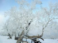 雪乡聚福临旅馆 - 其他