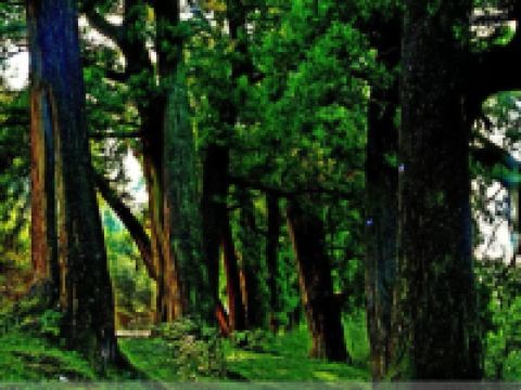 广元悦兮客栈 - 酒店附近