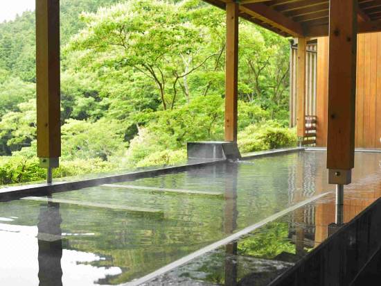 森の絶景露天風呂 熱海 森の温泉ホテル 熱海 宿泊予約 安い料金プラン 口コミ 部屋写真 Trip Com 森の絶景露天風呂 熱海 森の温泉ホテル 熱海 宿泊予約 安い料金プラン 口コミ 部屋写真 Trip Com