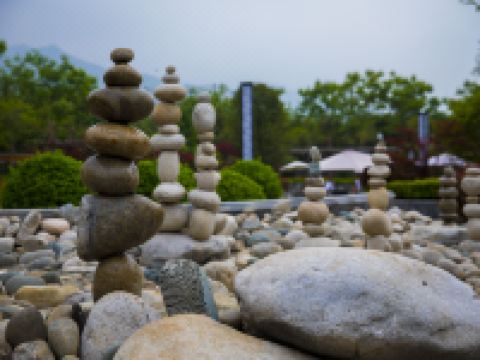 周至道温泉酒店 - 其他